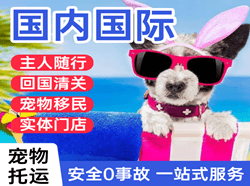 丹东机场快递国际宠物托运 【国